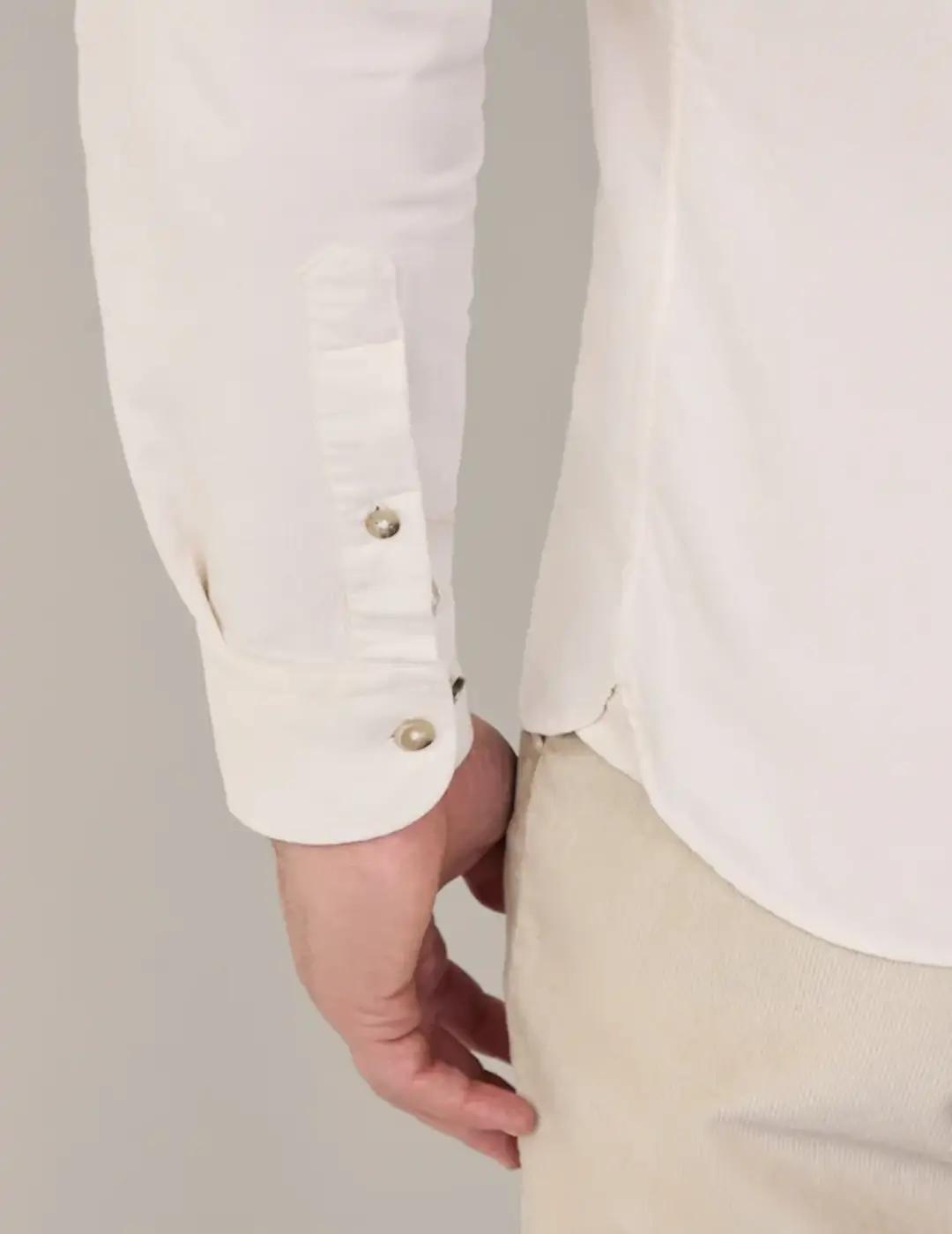 Camisa Micropana Hackett Arena